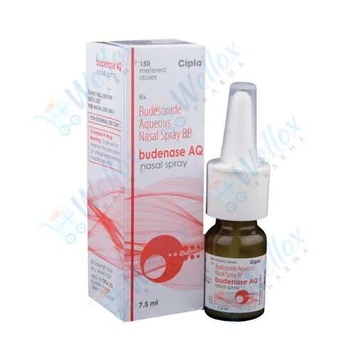Budenase AQ Nasal Spray